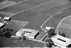 084_ _1964 Häuser Windhaag-Eilmsteiner_ .jpg