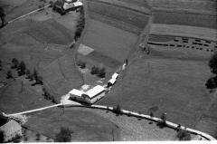 108_1964 Häuser Windhaag-Eilmsteiner_ .jpg