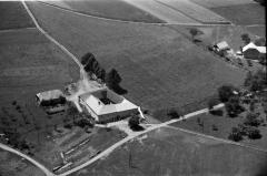 101_1964 Häuser Windhaag-Eilmsteiner_ .jpg
