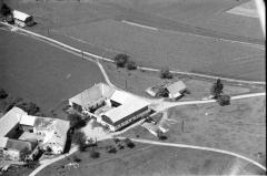 109_1964 Häuser Windhaag-Eilmsteiner_ .jpg
