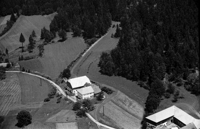 086_1964 Häuser Windhaag-Eilmsteiner_ .jpg