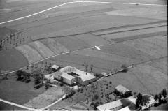103_1964 Häuser Windhaag-Eilmsteiner_ .jpg