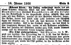 1900-01-16 004 Scheues Pferd Urfahr  [Linzer Tagespost].png
