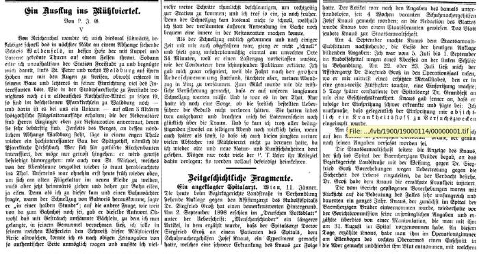 1900-01-14 002 Ein Ausflug ins Mühlviertel  [Linzer Volksblatt].png